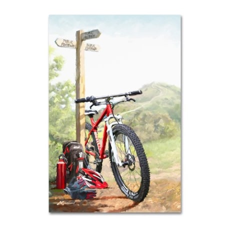 The Macneil Studio 'Mountain Bike' Canvas Art,16x24